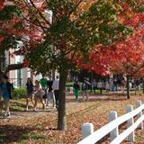 Milton Academy Photo - Milton Academy is only eight miles from Boston's museums, schools and attractions, but it has the benefits of a 130-acre New England campus-with green quads and lots of fall foliage.