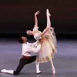 Walnut Hill School for the Arts Photo #10