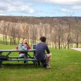 The Putney School Photo #11 - Everything is curriculum and everywhere is a place to learn on our hillside in Vermont.