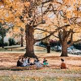 Stuart Hall School Photo #11 - Learning extends beyond the classroom on a beautiful fall day on campus