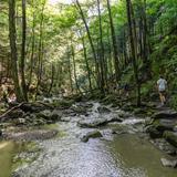 The Mountain School of Milton Academy Photo #10 - Exploring the natural wonders Vermont has to offer.