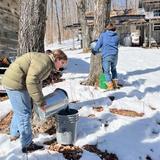 The Mountain School of Milton Academy Photo #9 - Each spring semester, students take part in sugaring by tapping maple trees and boiling sap into syrup. This seasonal tradition connects them to the rhythms of the land and the changing year.