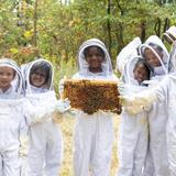 Principia School Photo #26 - Principia's experiential learning stretches from on-campus gardens, chickens, and a beehive to care for, to travel across the globe.