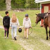 Hershey Montessori School Photo #11 - Horseback riding, canoeing, kayaking, trail running, museums, theater, eateries, skiing, festivals, shopping, etc., provide wonderful experiences for teens to explore their interests, learn, grow, and connect with themselves and their community.