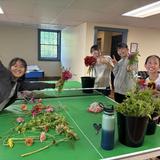 Hershey Montessori School Photo - Culture and diversity are celebrated at Hershey. One of the hallmarks of the Adolescent Program is fostering independence. This includes personal, economic, and relational independence, creative processes, and entrepreneurial thinking.